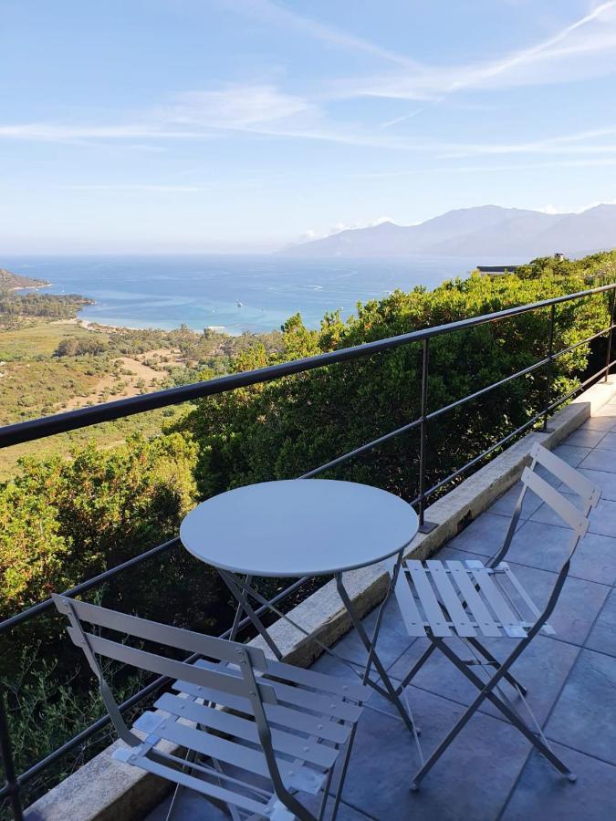 Les Hauts De Fromentica Saint-Florent  Exteriér fotografie
